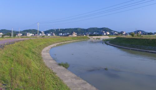 水利部：全力做好精準(zhǔn)洪水預(yù)報(bào)